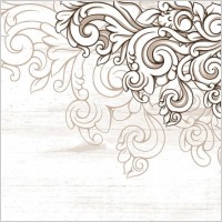 scene when europeanstyle lace border pattern vector 2