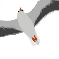Sea Gull Seagull clip art