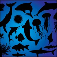 Sea Life