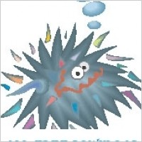 angry sea urchin