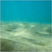 seabed_194612.jpg