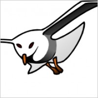 Seagull clip art