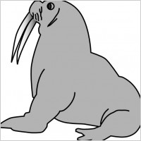Seal clip art