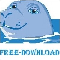 Seal Smiling 1