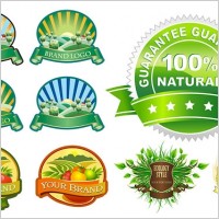 several beautiful label vector
