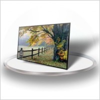 shared pictures