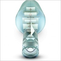 Ship in a Bottle