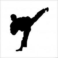 martial art silhouette