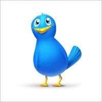 Single bird