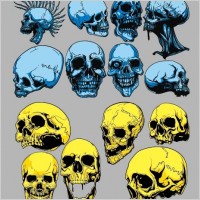 skull vector
