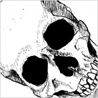 Skull Vector Art