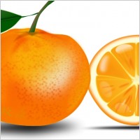 slice of an orange