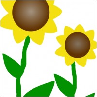 Wedding Als - Party World