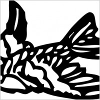 Small Bird clip art