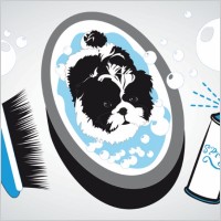 Small Dog Bath