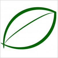 Small Green Leaf Icon