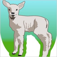 Small Sheep clip art