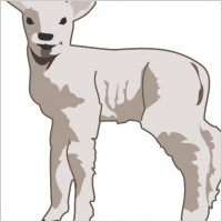 Small Sheep clip art