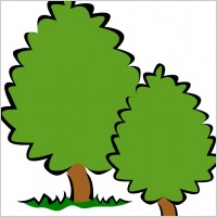 Small Trees / Bushes