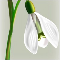 Water+droplet+clipart