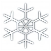 Snow flake icon 4