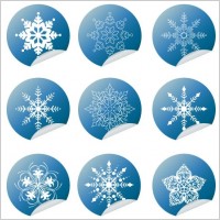 Snowflake Winter Set Vector