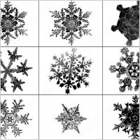 snowflakes brush