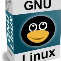 Software Carton Box with GNU - Linux Text and Funny Tux Face