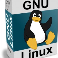 Software Carton Box with GNU - Linux Text and Tux