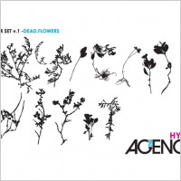 

								Some Pretty, Dead, Dry Flowers Silhouettes							
