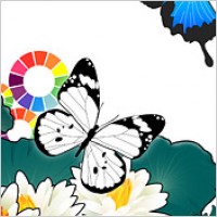South Korea trend of dynamic psd material-10