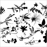 

								SP3KTR Floral							