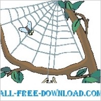Spider and Web 3