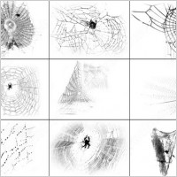 spiders web brush