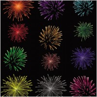splendid fireworks fireworks vector 1