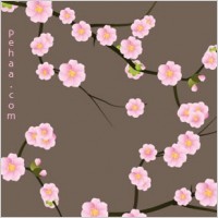 Spring blossoms patterns