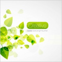 spring green leaves 05 vector