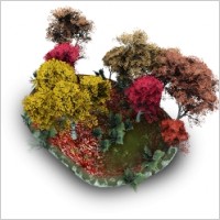 Spring Stone