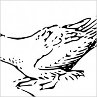 Squeeking Bird clip art