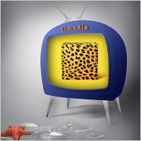 Star Fish Cartoon TV PSD