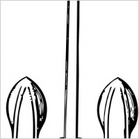 Stockless Anchor clip art