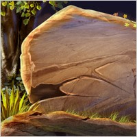 stone in woods