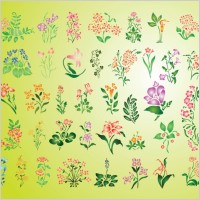 Summer Flowers Set