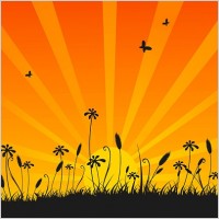 sunset vector