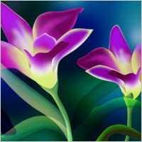 Super ultra-clear theme flower-2