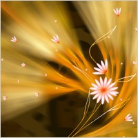 Super ultra-clear theme flower-5