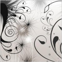 Swirls and Seeds