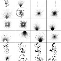 swirls and seeds brush