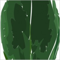 Tea Leaf clip art