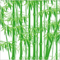 The green bamboo vector material